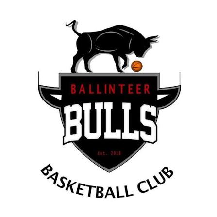 Ballinteer Bulls